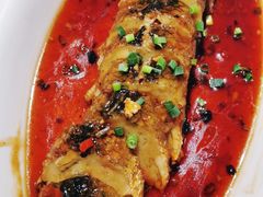 -大榕树下顺德菜(融创茂店)