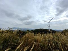 -长江澳风力发电景观区