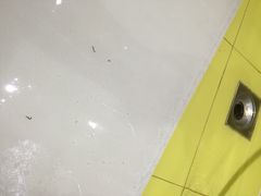 iphone_upload_pic-如家酒店(上海陆家嘴东方明珠浦东大道地铁站店)