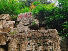 -西安曲江寒窑遗址公园