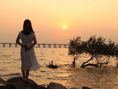 -宝安西湾红树林湿地公园