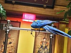 那家小馆(中关村店)-那家小馆•北京菜•烤鸭(中关村店)