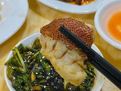 -金砂阿洲鱼册店