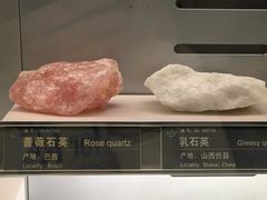 -中国地质博物馆