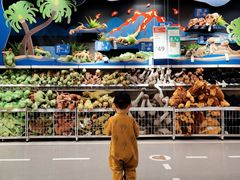 -宜家家居(西安未央商场店)