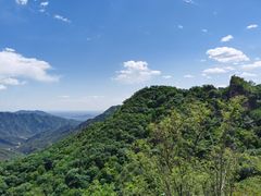 -大岭沟猕猴桃谷风景区
