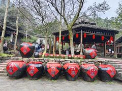-姑婆山旅游区