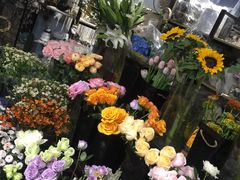 -ChaKo Flora ·茶子花艺 (市北店)