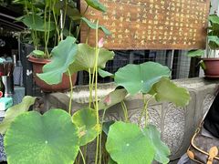 -老地方猫儿面(磁器口店)