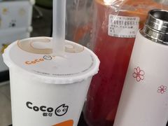 -重庆巴渝火锅(钟家村店)