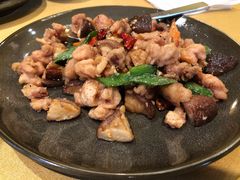 -松赞拉萨林卡酒店