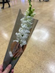 -Real Pilates优体普拉提