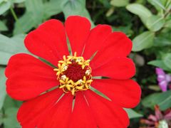 -桤木河湿地公园