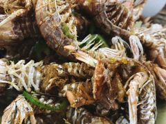 椒盐濑尿虾-贞姨美食·老字号海鲜大排档