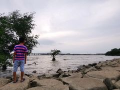 -宝安西湾红树林湿地公园