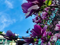 -美菲特健身(华贸店)