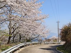 -四明山国家森林公园