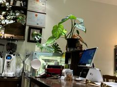 -echoes coffee回响咖啡(红山店)