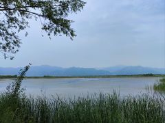 -野鸭湖国家湿地公园