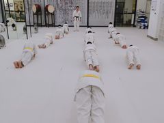 -极真空手道修远道场