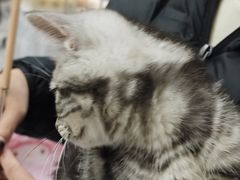 -万达广场(北京槐房店)