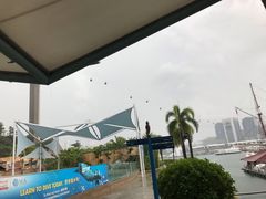 -新加坡水上探险乐园