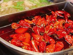 草本鸳鸯锅-盡膳口福跷脚牛肉火锅(晶耀前滩店)