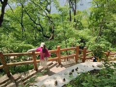 -九鼎铁刹山风景区