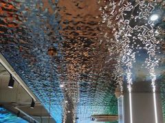 -探窝·竹笙椰子鸡(杨箕店)