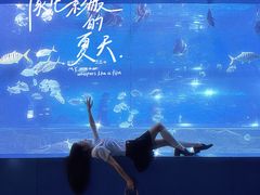 -重庆欢乐海底世界