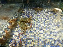 android_upload_pic-上座·餐厅(阳光100店)
