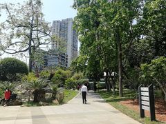 -晓港公园