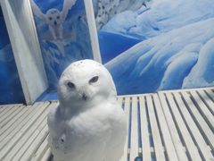 -成都浩海立方海洋公园