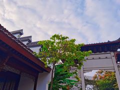 -堤角公园