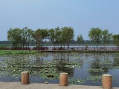 -绿堤公园