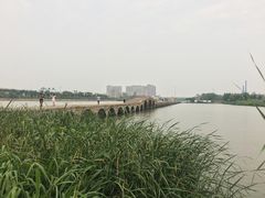 -澹台湖公园