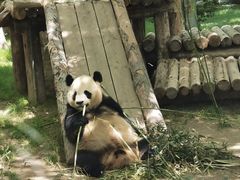 -上海野生动物园