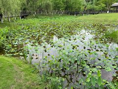 -沐仙湖湿地公园