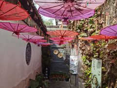 -鱼食饭稻·苏浙土菜17年老馆子(平江路店)