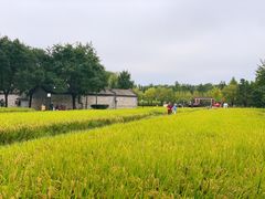 -北坞公园