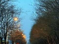 -莫子山公园