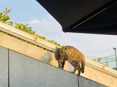 -UNI UNI(环亚凯瑟琳店)