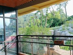 -宁波野生动物园