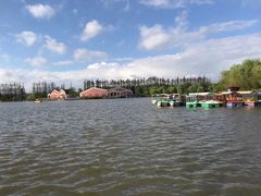 -上海长兴岛郊野公园