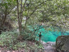 -石台牯牛降景区