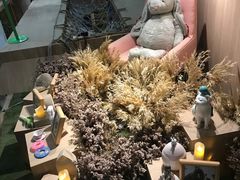-藦茜花园宠物主题亲子互动体验馆(国顺东路店)