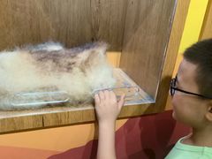 -中国大熊猫保护研究中心雅安碧峰峡基地