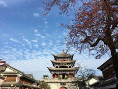 -嘉华鲜花饼(大理元帅府店)