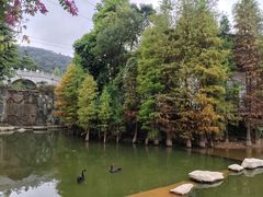-广州市帽峰山景区