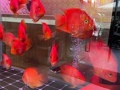 -龙记·香港茶餐厅(海上世界店)